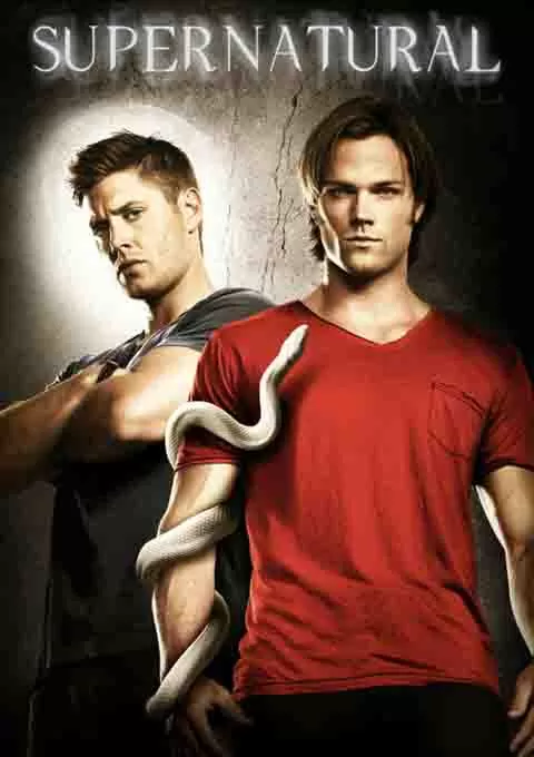 邪恶力量 第六季